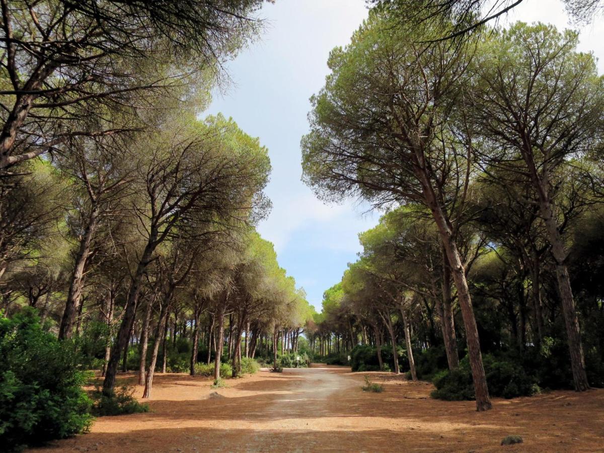 Holiday Home La Tordara By Interhome ปอร์โต ซานโต สเตฟาโน ภายนอก รูปภาพ